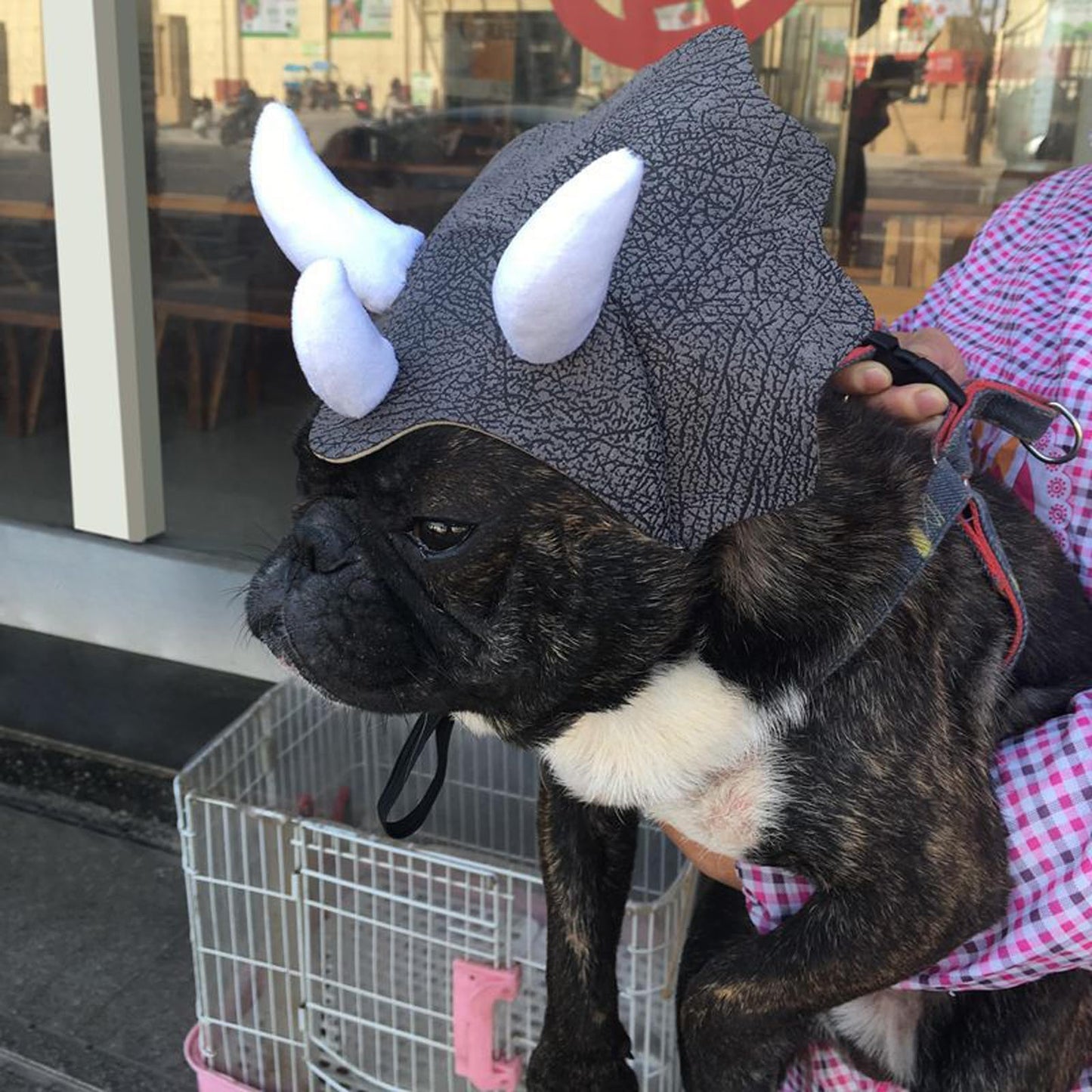 Triceratops Dinosaur Costume Hat for Pets Funny Halloween Cosplay