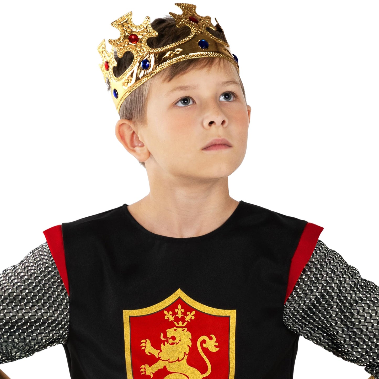 Morph Medieval Knight Costume For Boys, Knight Costume Kids, Halloween Costumes For Boys Warrior Costumes Kids XL