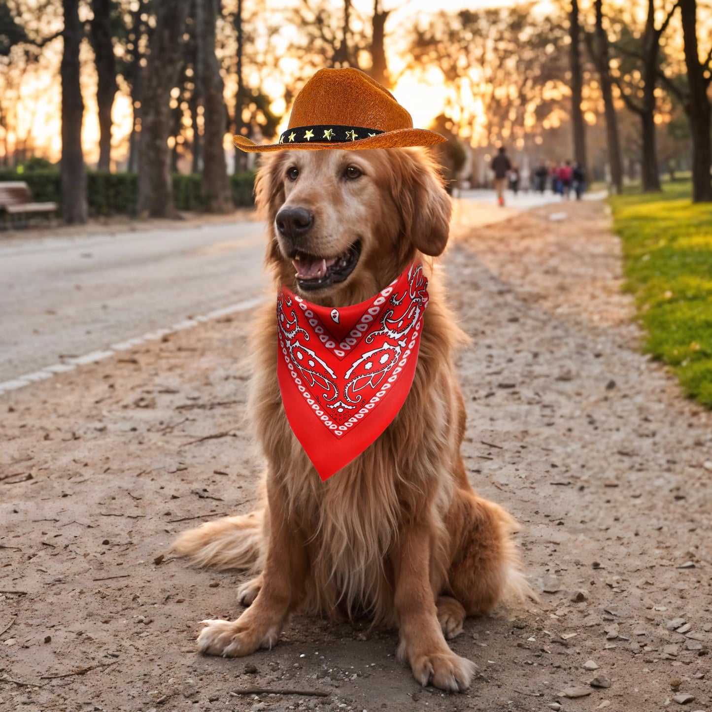 Pet Cowboy Costume Dog Halloween Costumes Pet Mini Cowboy Hat