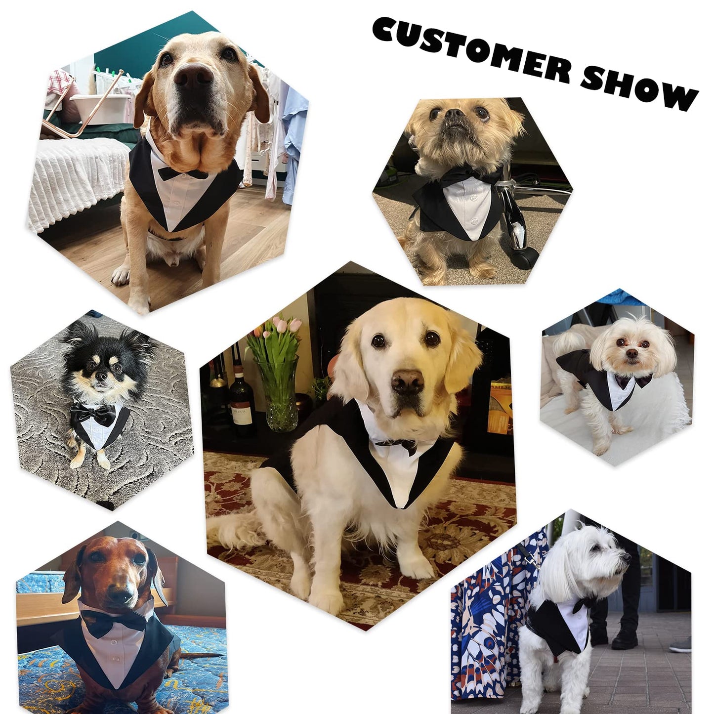 Black & White Dog Tuxedo Outfit - Wedding Suit with Bow for Dogs