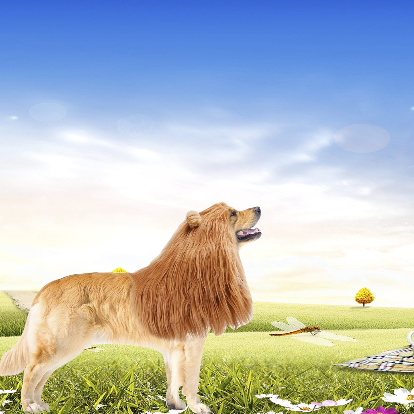 Lion Mane Wig for Dog and Cat Costume with Ears Pet Adjustable