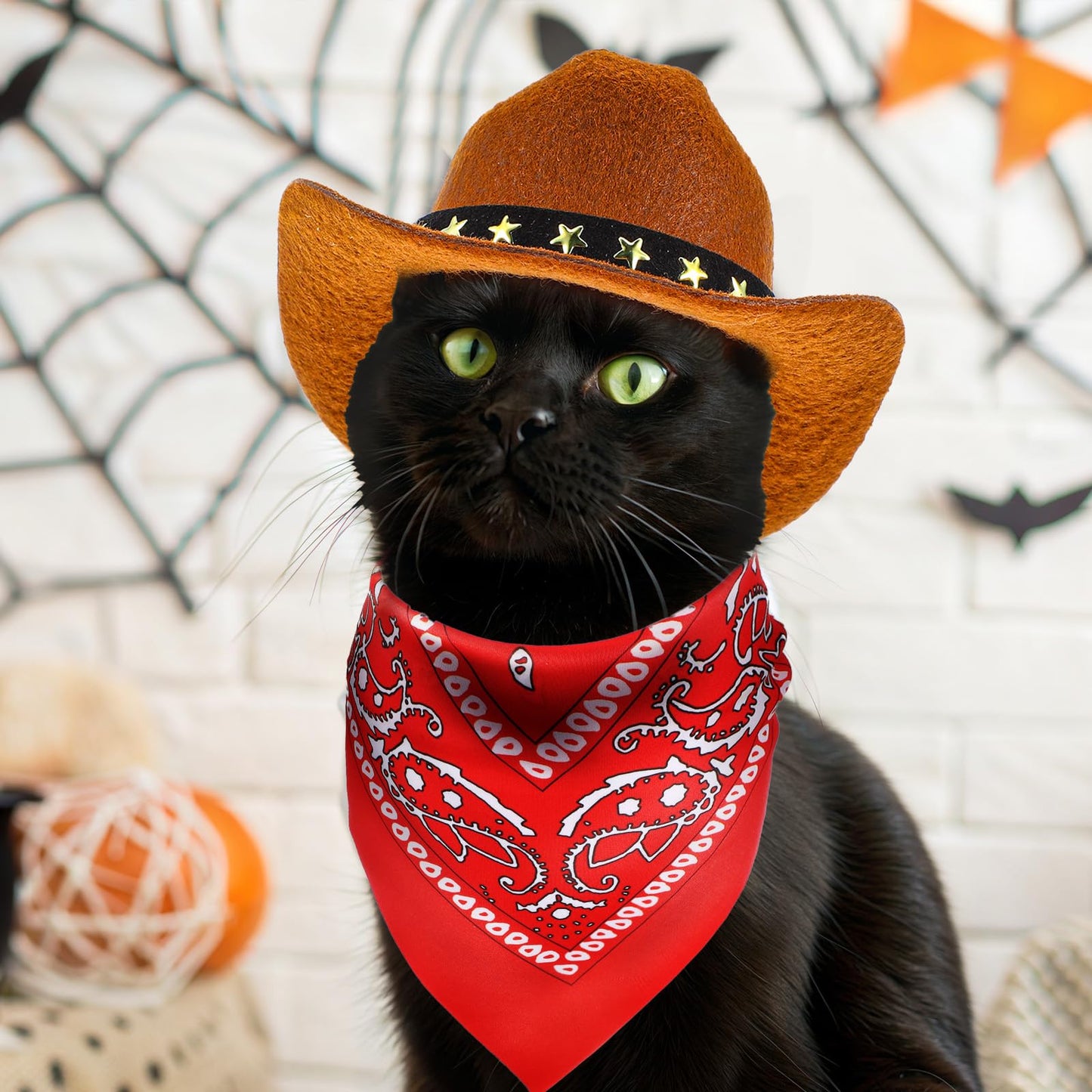 Pet Cowboy Costume Dog Halloween Costumes Pet Mini Cowboy Hat