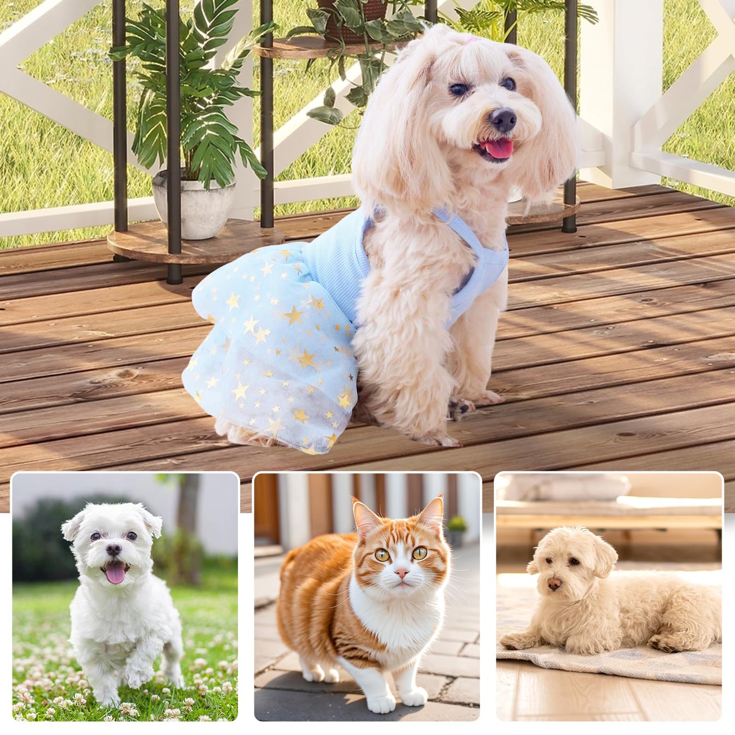 Dog Tutu Dress Cat Dogs Summer Tulle Slip Lace Dress Cute Puppy