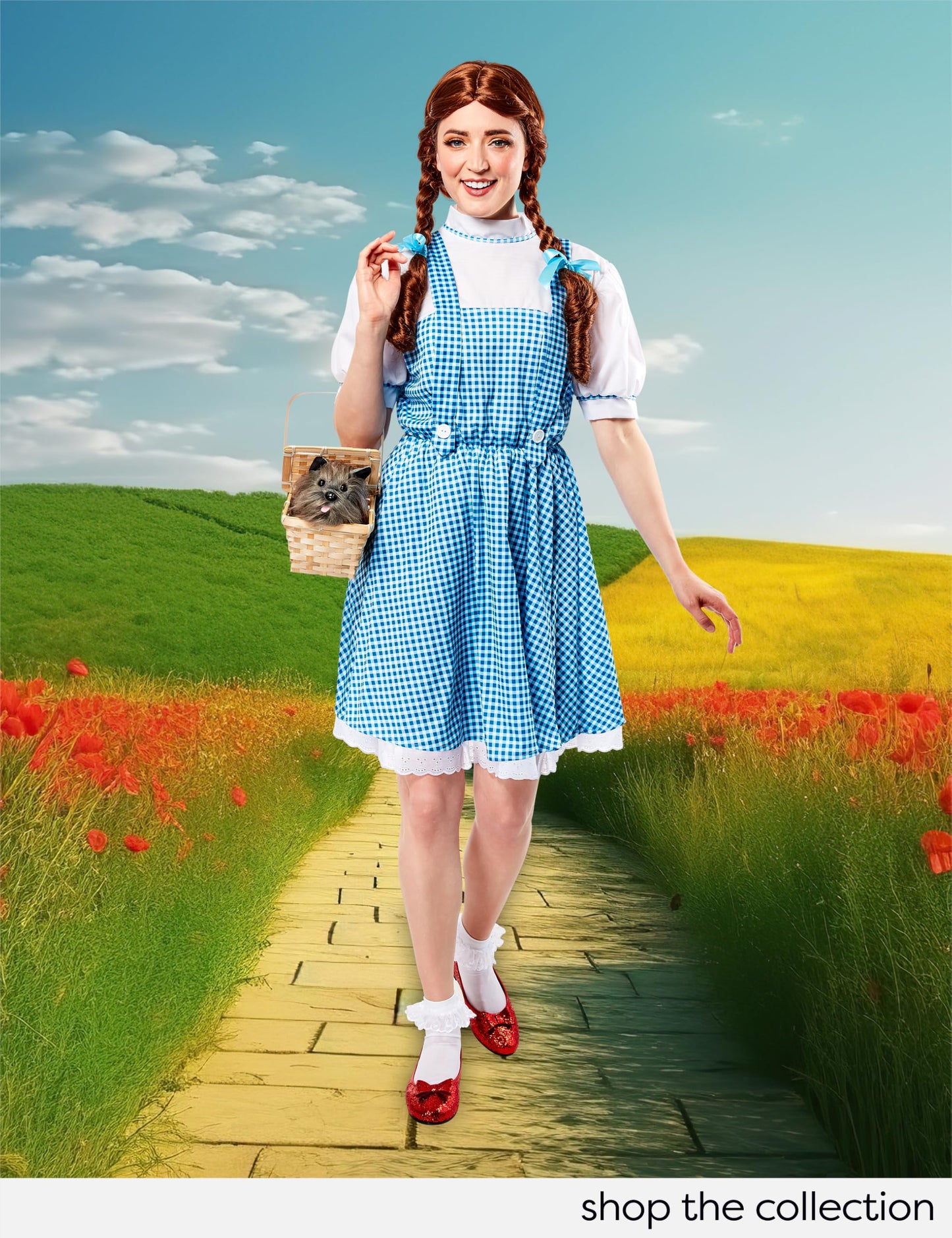 Rubies Official 887378 Wizard of Oz - Dorothy Costume - Teen - Blue/white Halloween