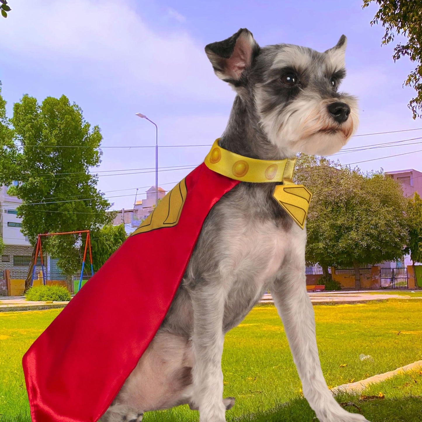Official DC Superman Movie Krypto Pet Dog Costume - Pet Superhero