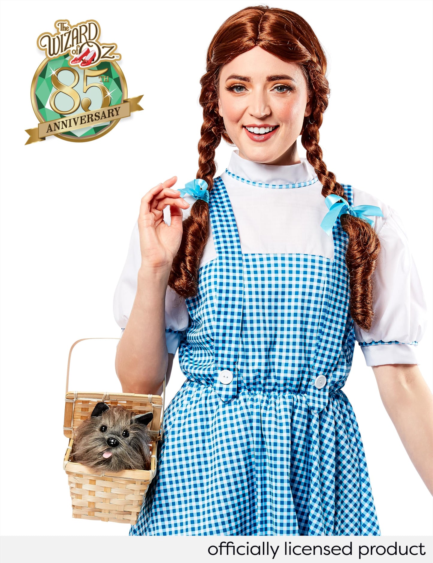 Rubies Official 887378 Wizard of Oz - Dorothy Costume - Teen - Blue/white Halloween