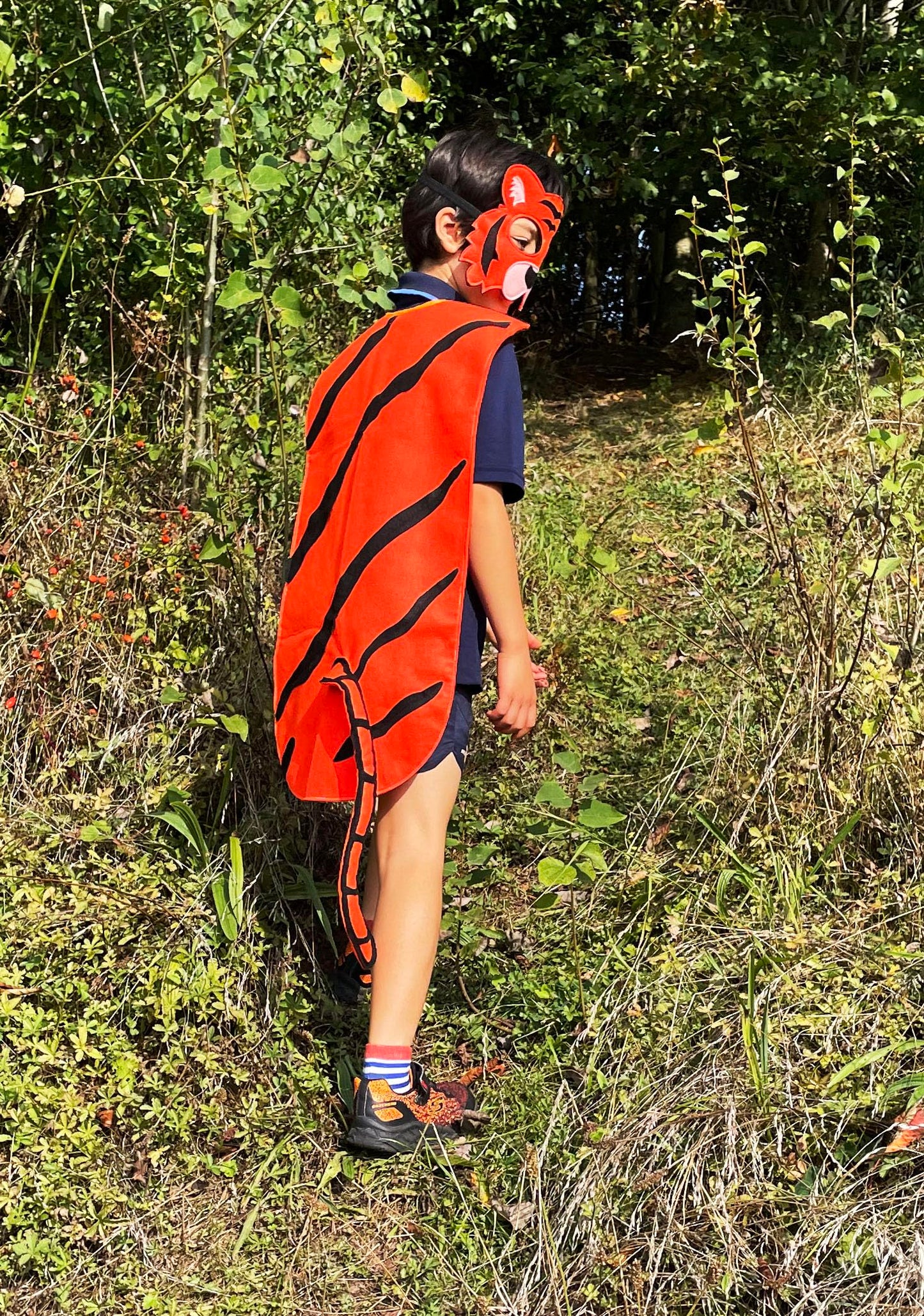 ZAC HOME World Book Day Animal Jungle Animal Costume Tiger Costume Mask and Cape for Age 3-12